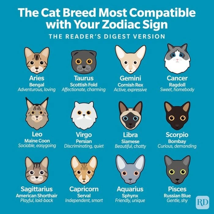 Your cat breed based on your Birth Month Fandom