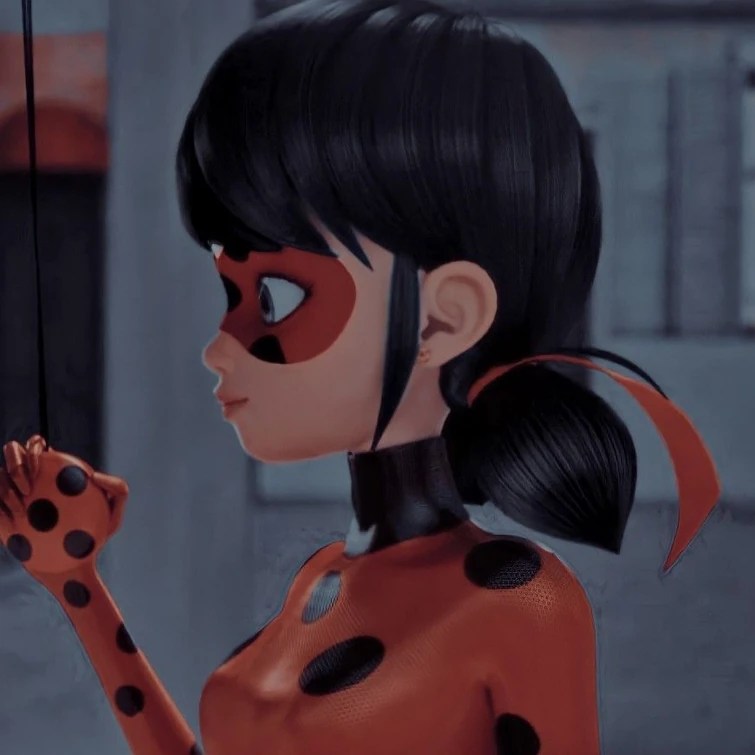 Miraculous ladybug Matching Profile pictures Fandom
