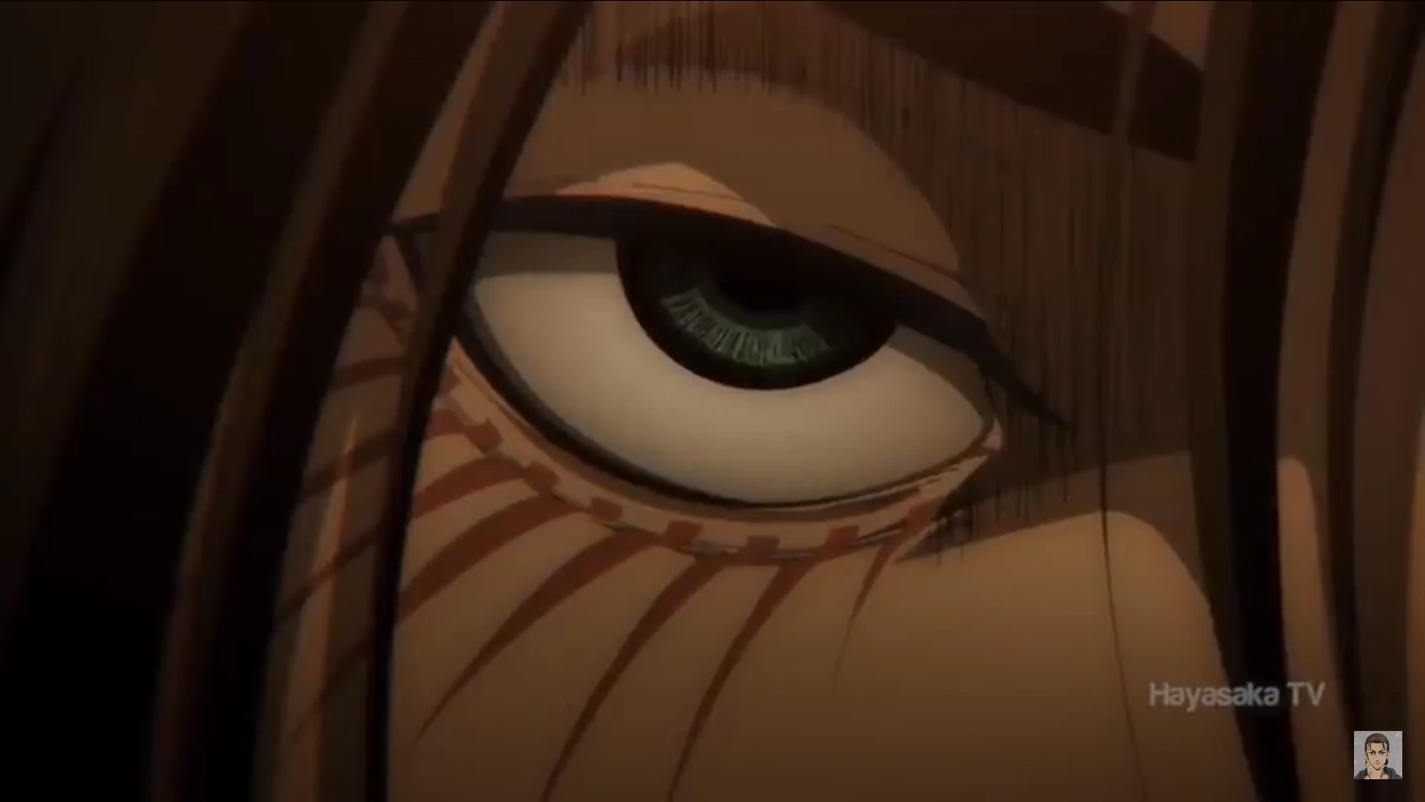 What are these things? Fandom