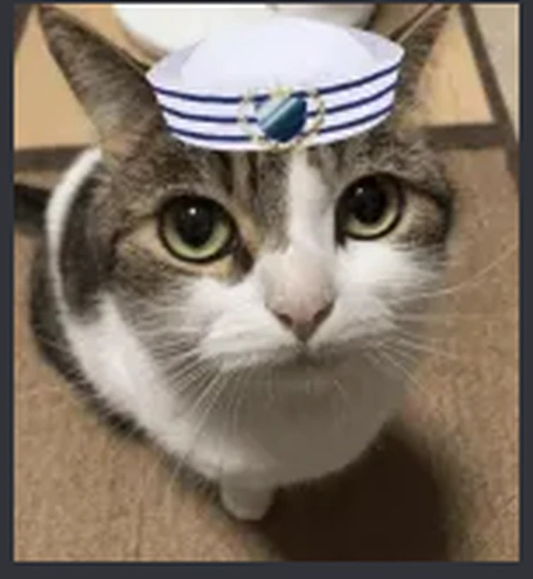 Y’all ever just lost your favorite unblocked games site… Fandom