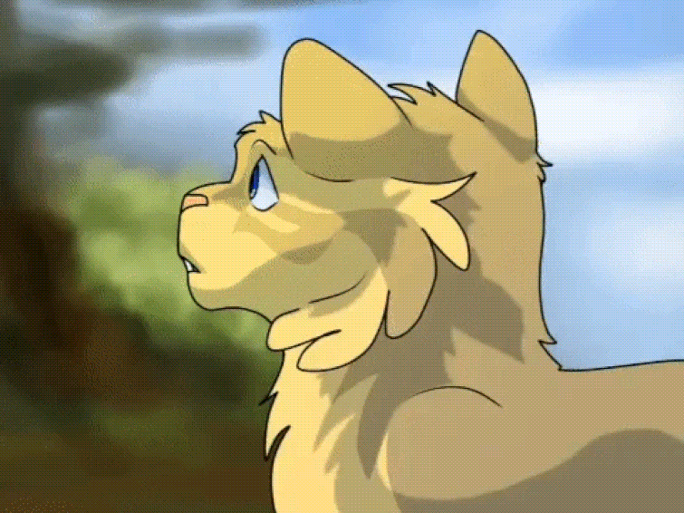 I animated Rootpaw on IbisPaint X (not supposed to be this fast, only