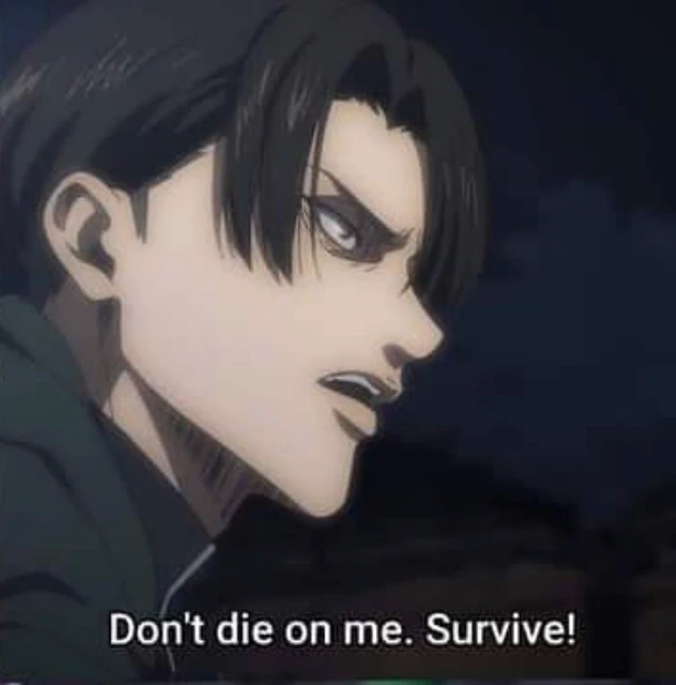 Erwin dancho just waiting in heaven to levis death Fandom