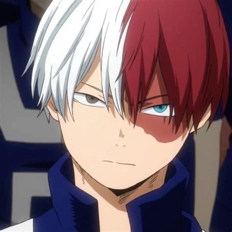 Todoroki boys Scar Edition Fandom