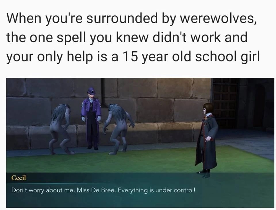 Harry Potter Hogwarts Mystery Memes and Funny Images... Fandom