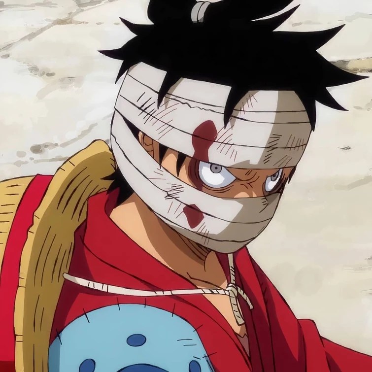 Monkey D. Luffy’s public execution Fandom