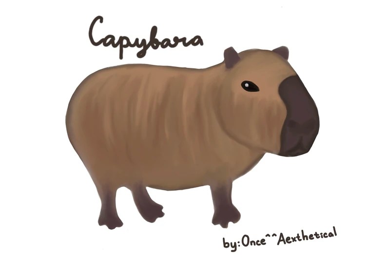 Capybara fan art!3 Fandom