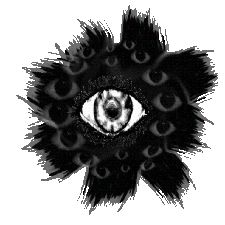 Tried making B55 Animation Fandom