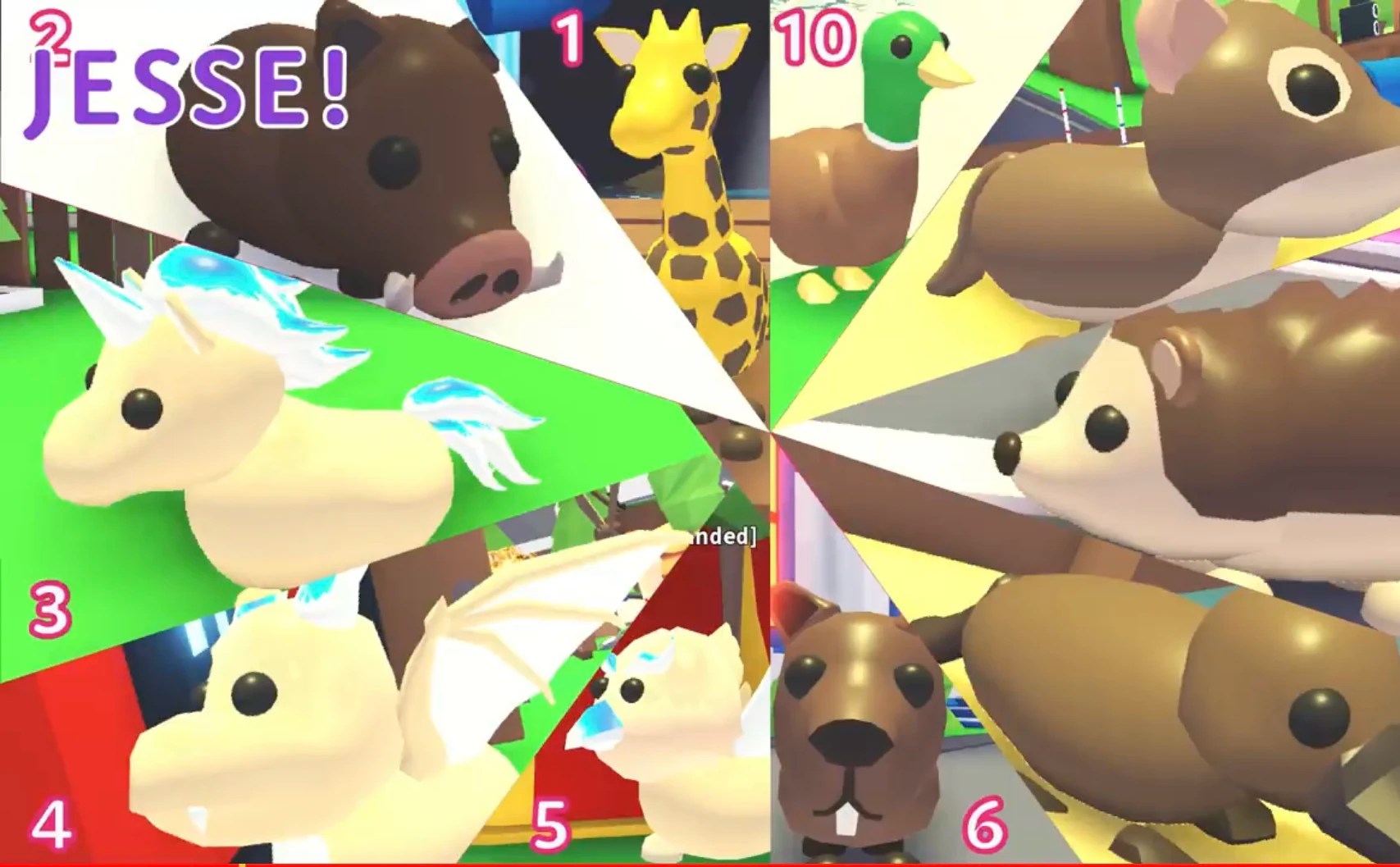 Top 10 rarest pets! (Value made by adopt me) Fandom