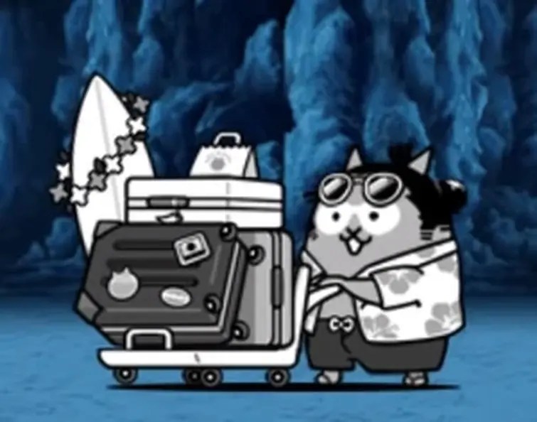 are tourist cat and surfer the same person Fandom