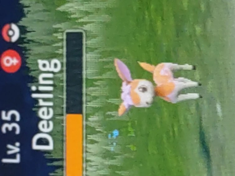 I HAVE A SHINY SAWSBUCK Fandom