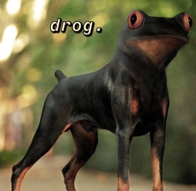 whEn yOu HaVe A dOG aNd A fROg, WhaT dO yOu geT? Fandom