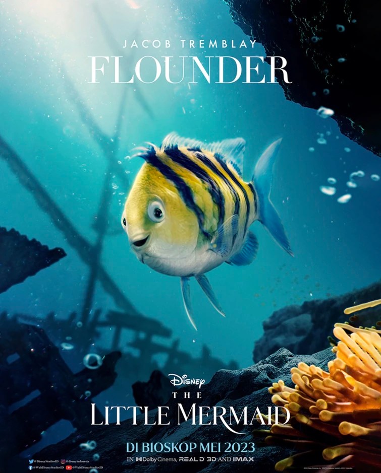 I WISH FLOUNDER LIVE ACTION LOOKS LIKE THIS Fandom
