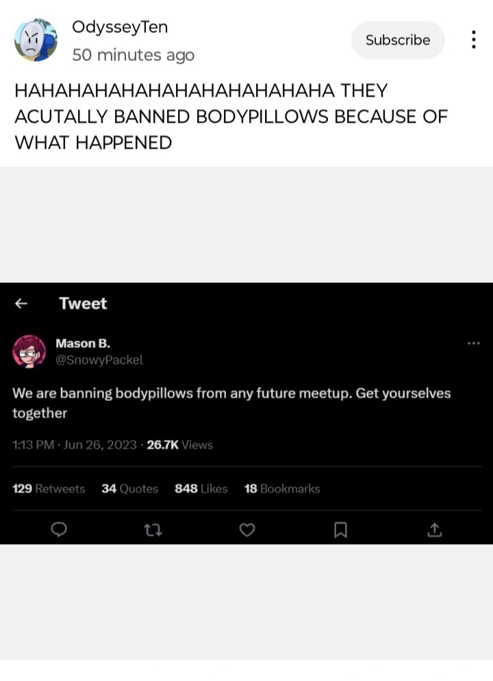 they banned body pillows Fandom