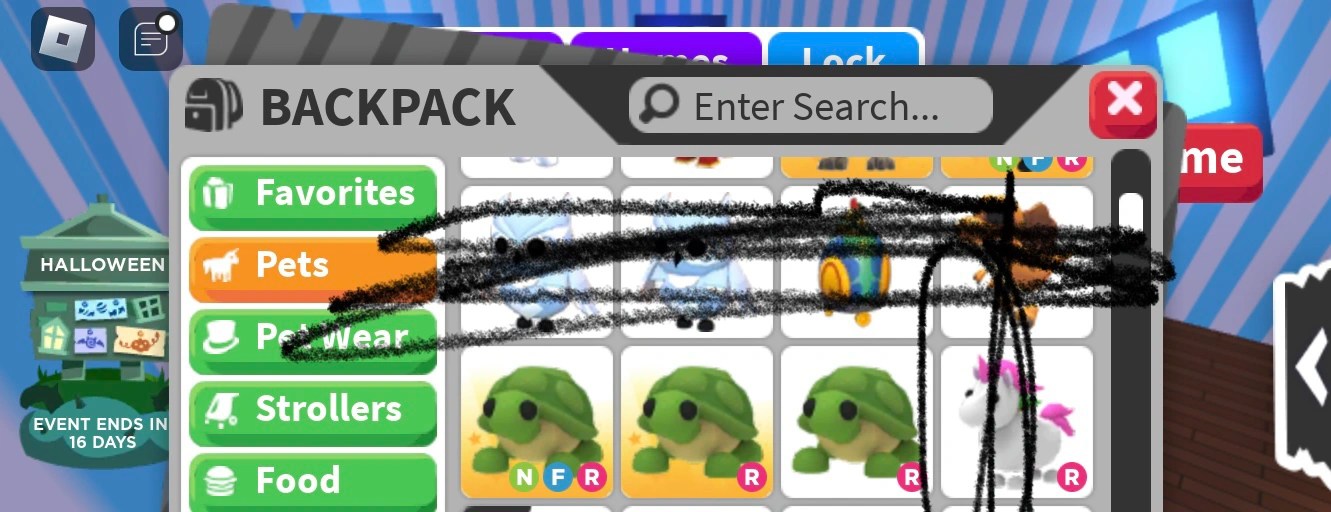 what pets are these turtles worth Fandom