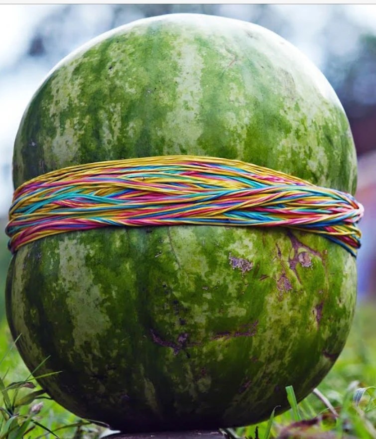 Weapon idea Watermelon Bomb Fandom