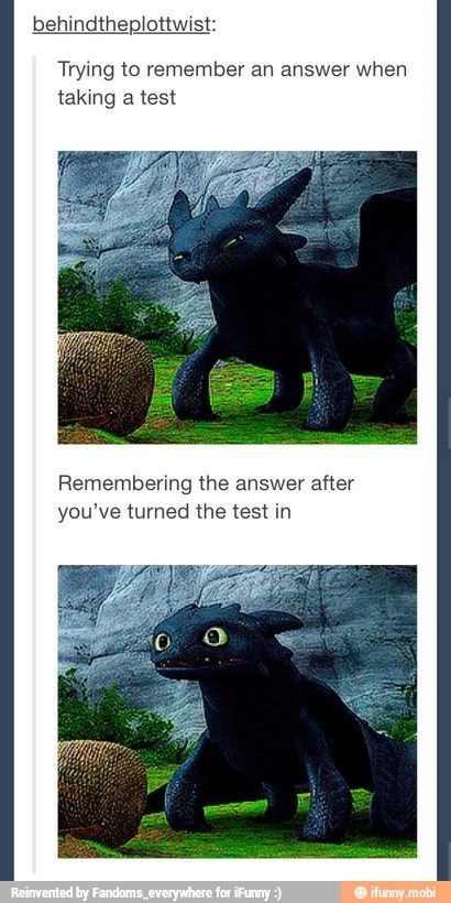 How To Train Your Dragon Memes Gifs Imgflip