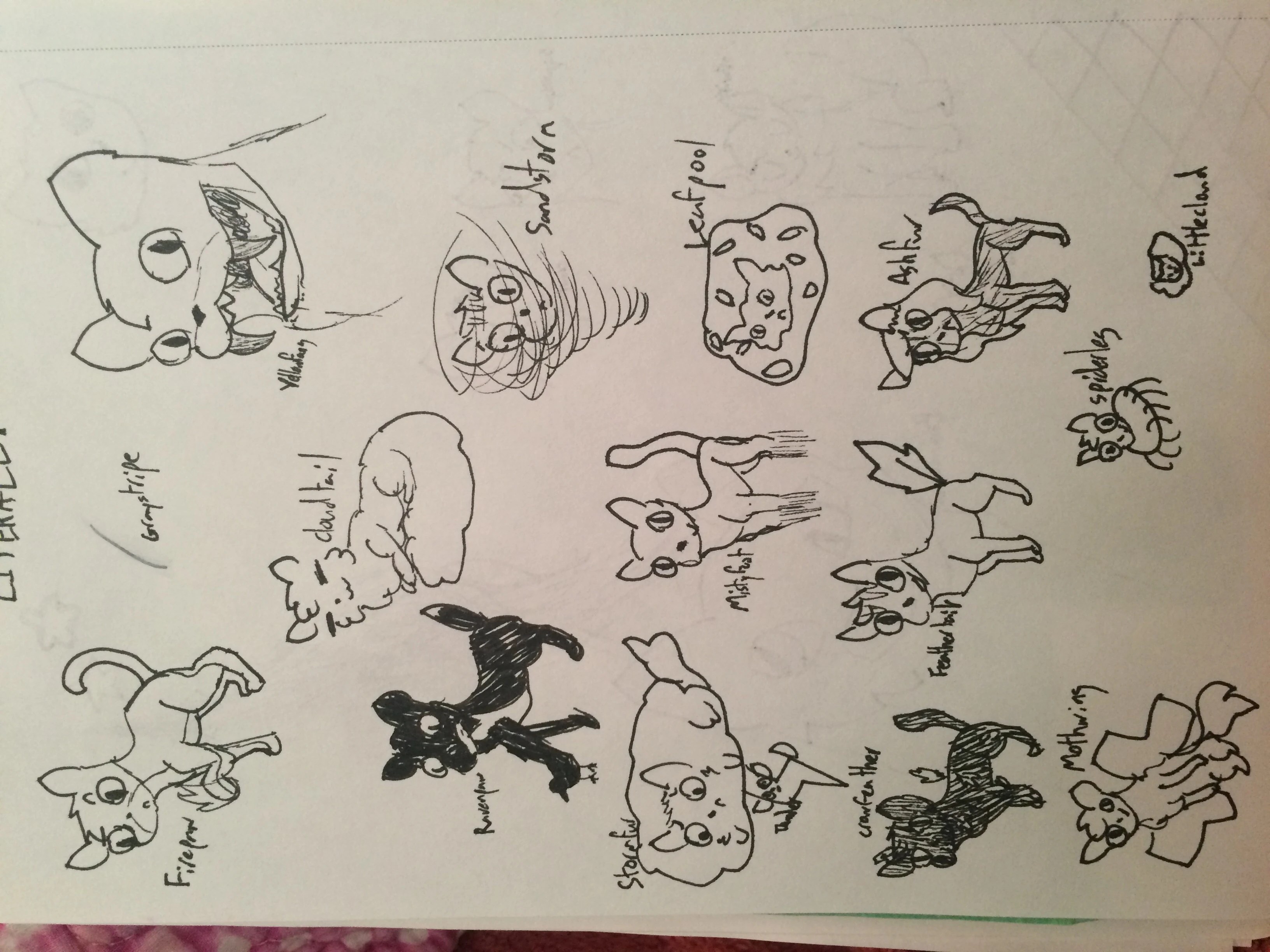 Warrior Cats Names Taken Literally Fandom