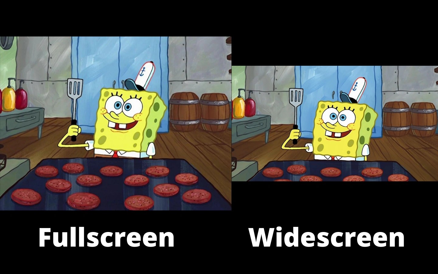 Fullscreen or Widescreen Fandom