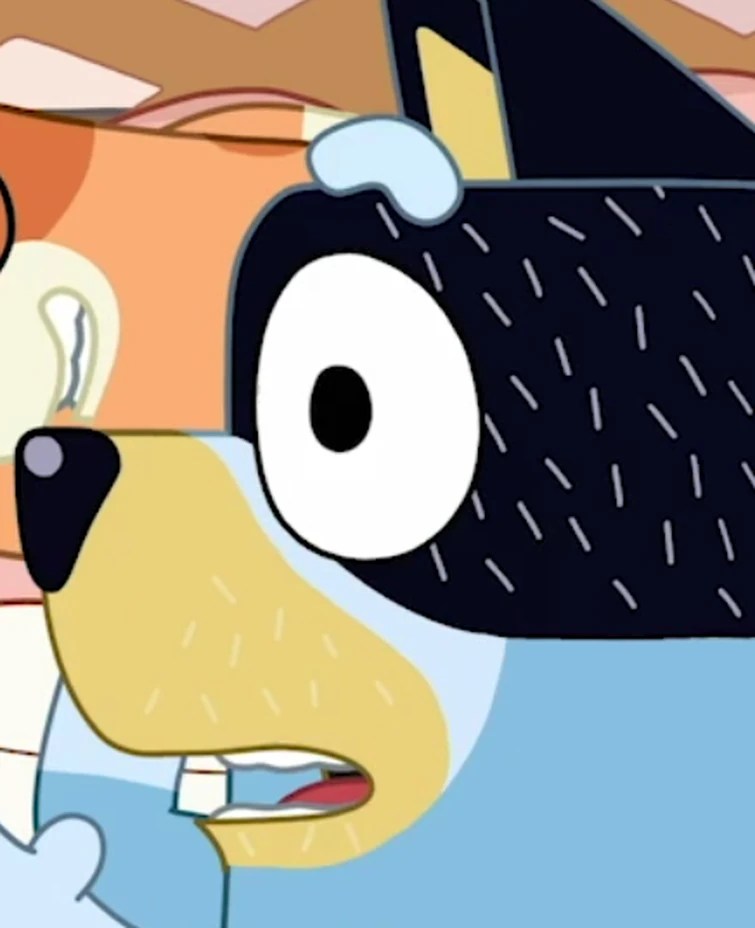 MY ENTIRE COLLECTION Fandom