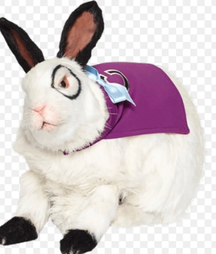 Discuss Everything About The Thundermans Wiki Fandom