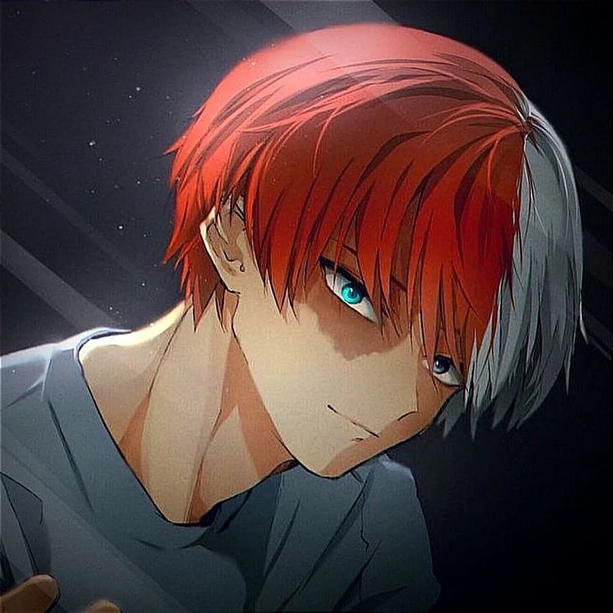Todoroki pfp... Fandom