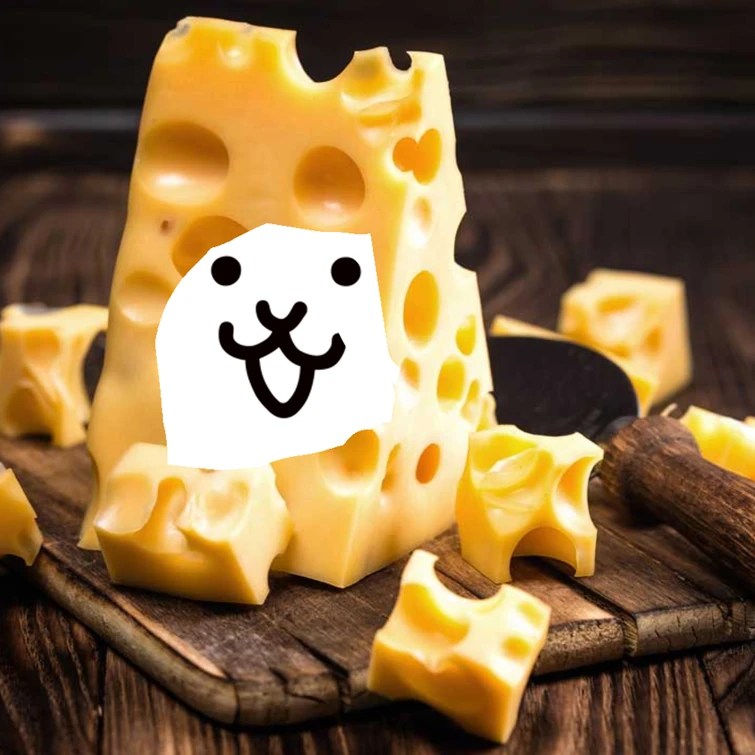 how 2 cheese cat Fandom