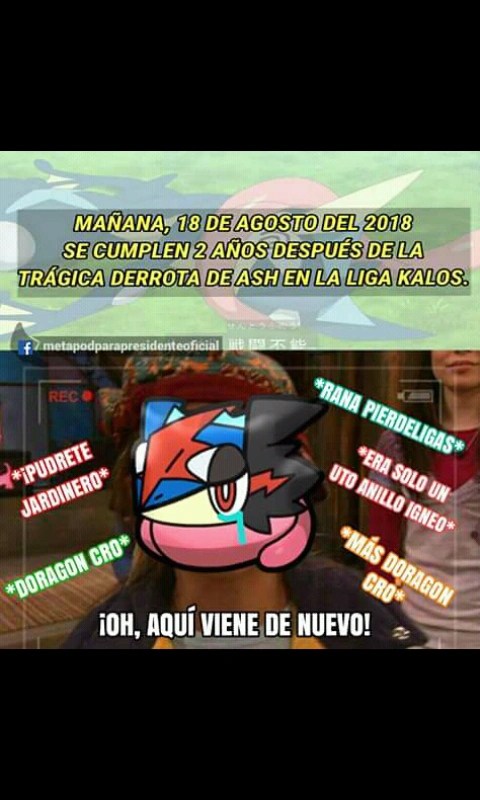 Memes 6 Pokemon En Espanol Amino