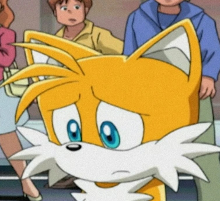 Why is Tails sad? (Wrong answer only) Fandom(01)