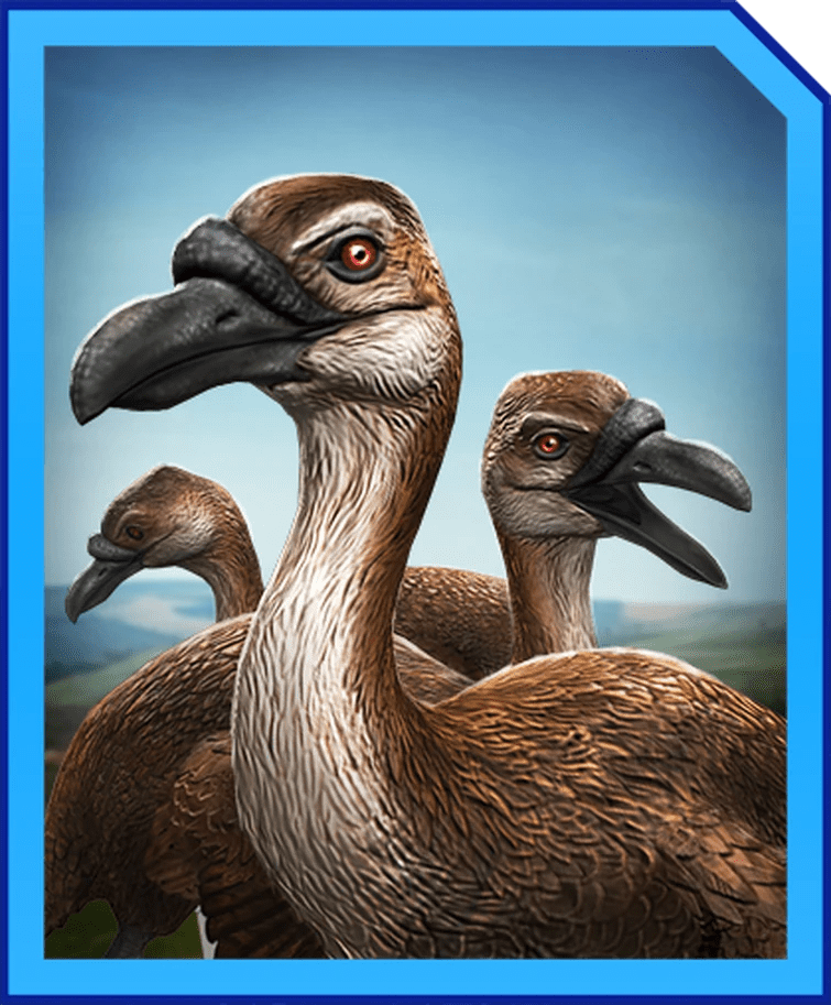 New 2.15 Creatures!!! Fandom