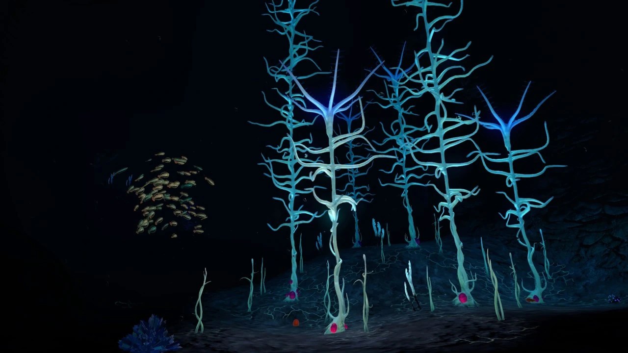 Discuss Everything About Subnautica Wiki Fandom