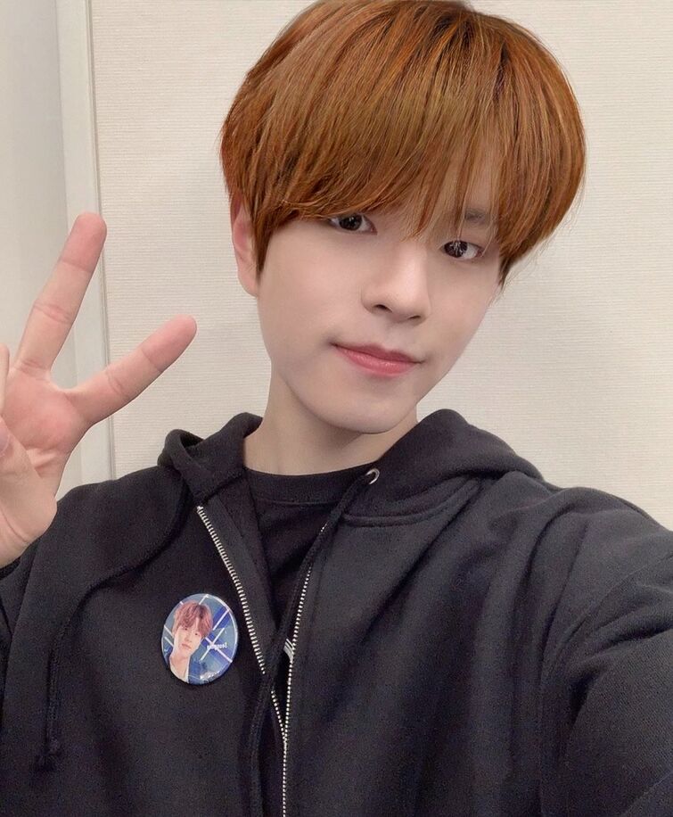 BROWN HAIR SEUNGMIN Fandom