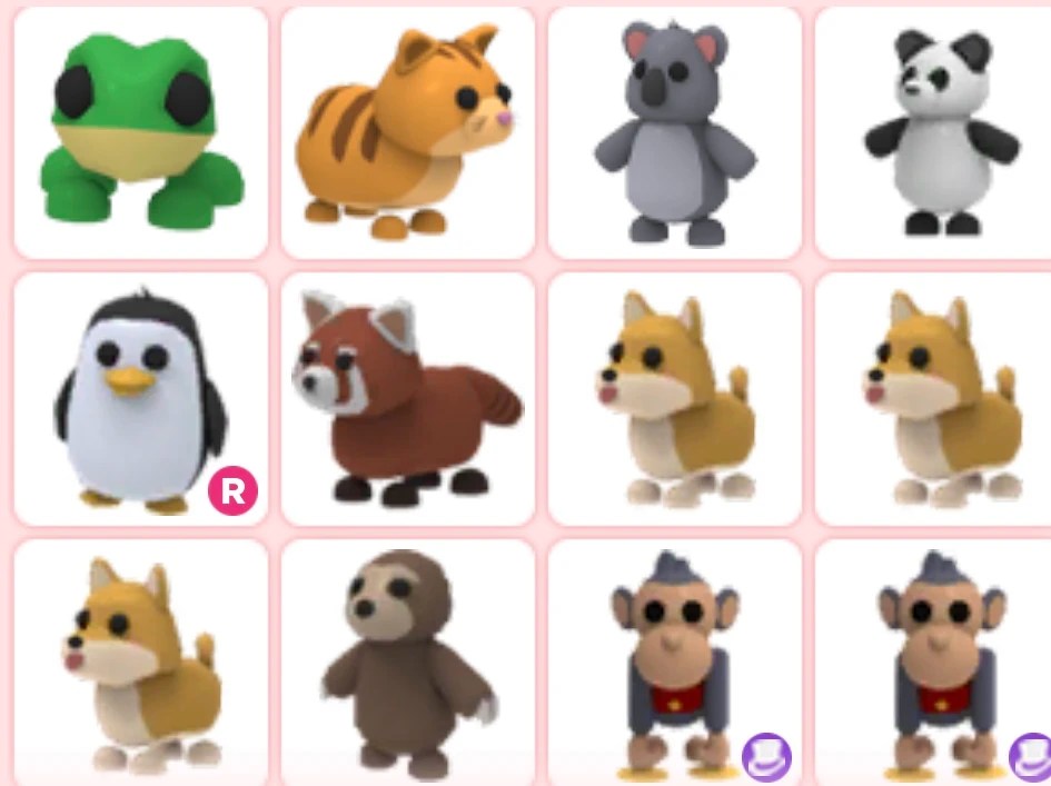 Top 10 Rarest Pets! (Value Made By Adopt Me) Fandom, 51 OFF