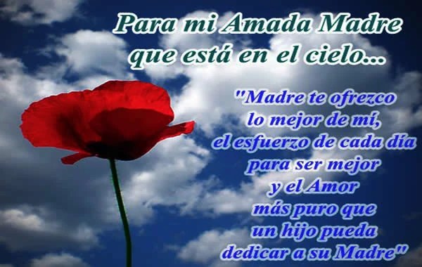 Carta De Una Madre A Su Hijo - Carta De Corazón A Corazón Mi Madre Esta Ausente | Fandom