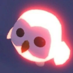 Owl Adopt Me Wiki Fandom