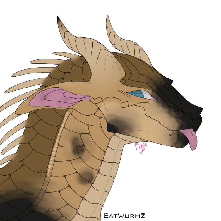 What should i name My new Sona? Fandom