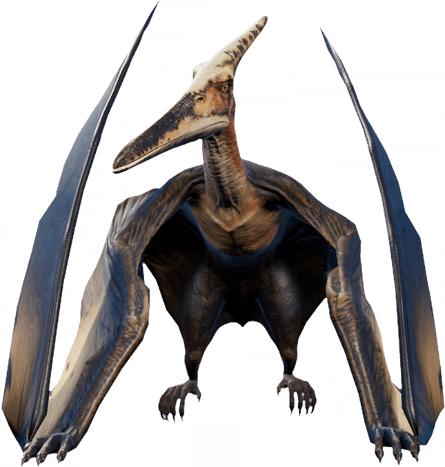 Top 32+ Images show me a picture of a pteranodon Sharp