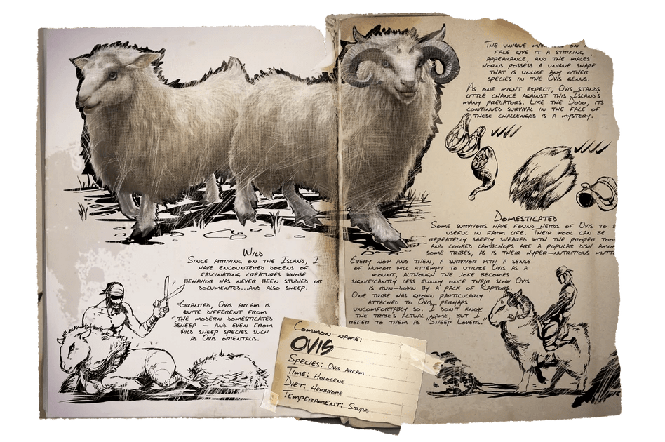 Ovis Official ARK Survival Evolved Wiki