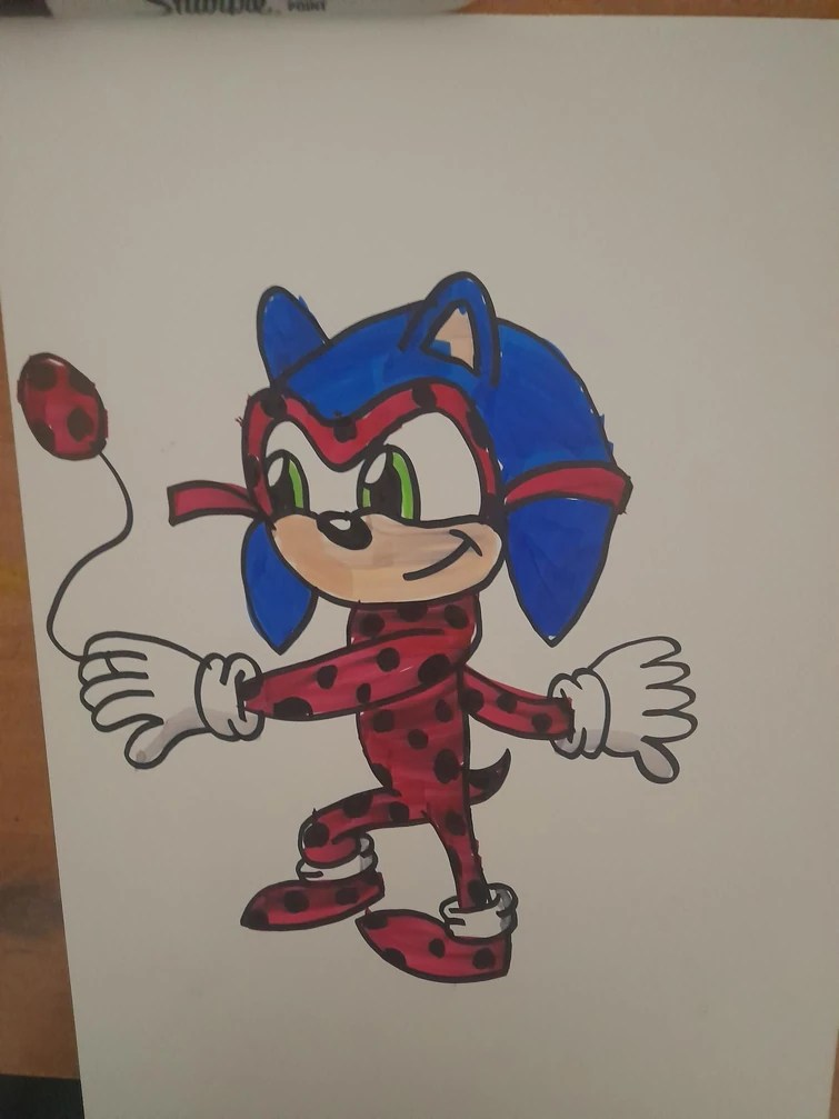 My fusion between Sonic and the Miraculous Ladybug Fandom