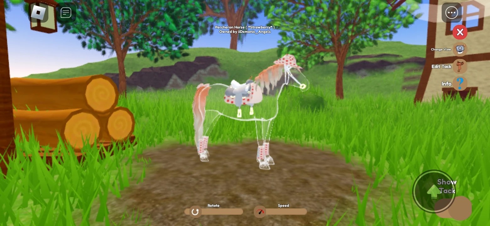 Name 1 Of My Rainbow Horses Fandom