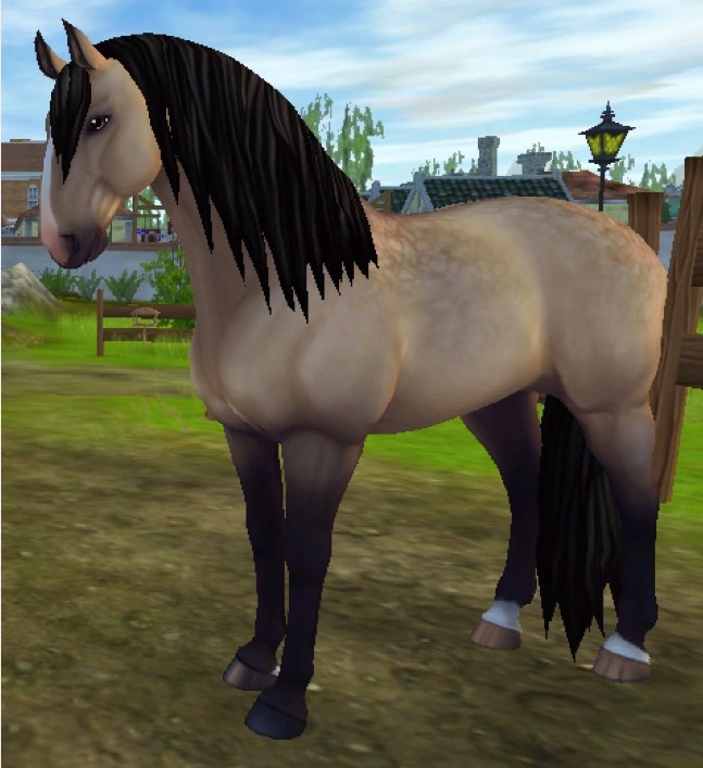 Names for the buckskin Lusitano? Fandom