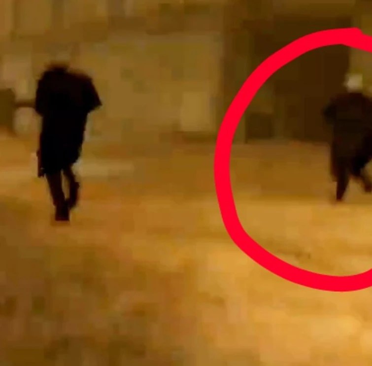 Simp Cameraman most likely survived in episode 56. Fandom(03)