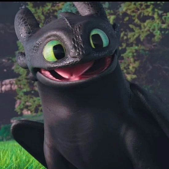 Is Toothless really a very cute Night Fury? Fandom