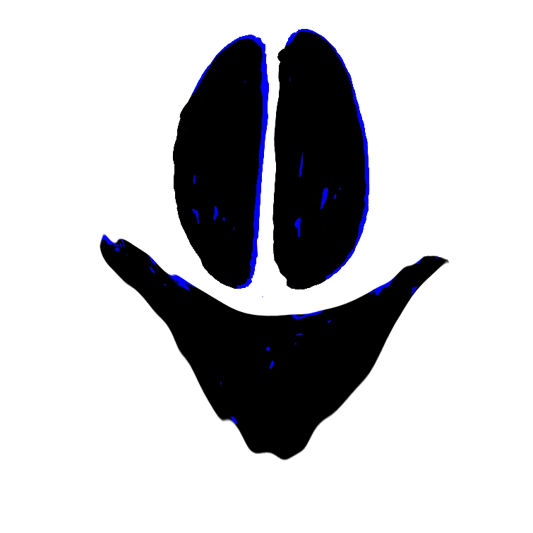 playing dark rooms live Fandom