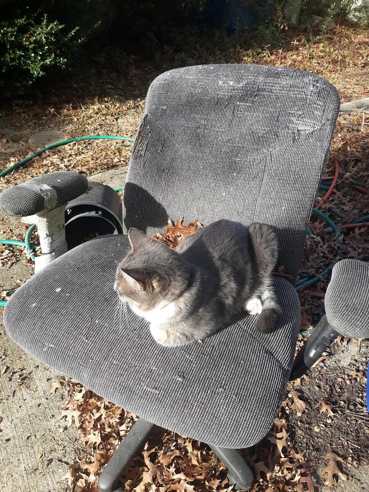 Relaxation, OffTopic Thread for 2024 Fandom