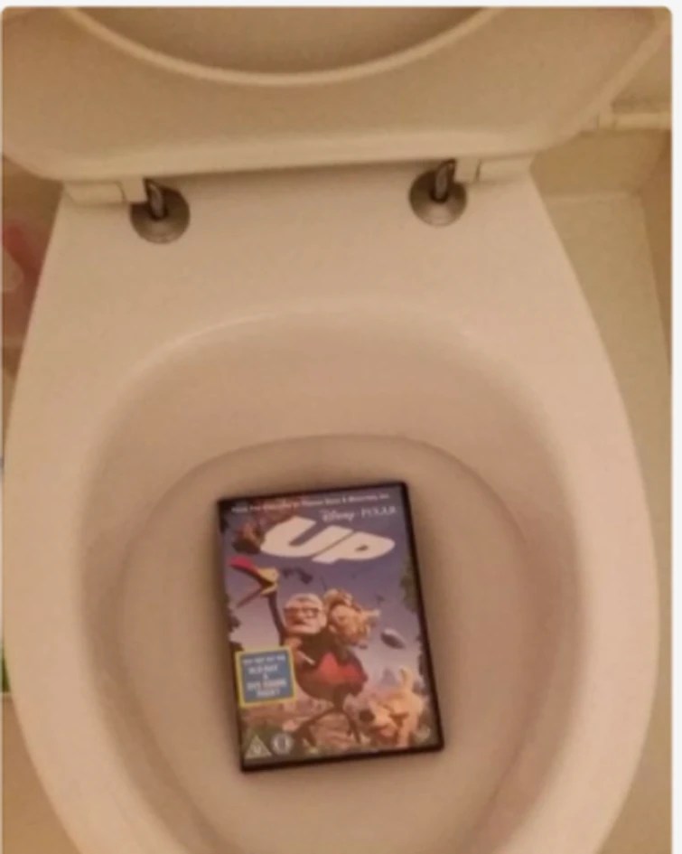 guys i think im sick i just threw up in the toilet Fandom