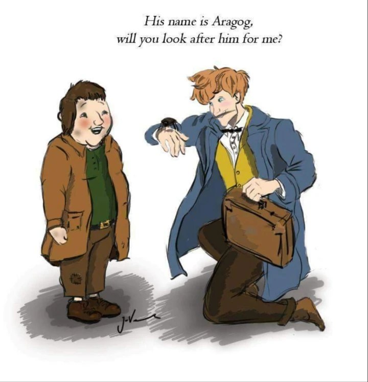 Hagrid got Aragog from Newt Scamander!!! Fandom