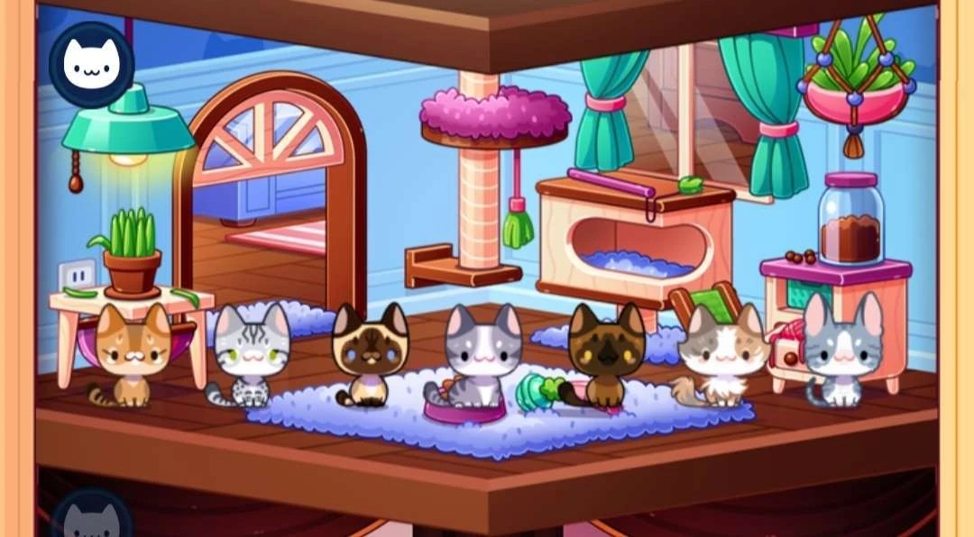 Small Cats Cat Game The Cat Collector! Wiki Fandom