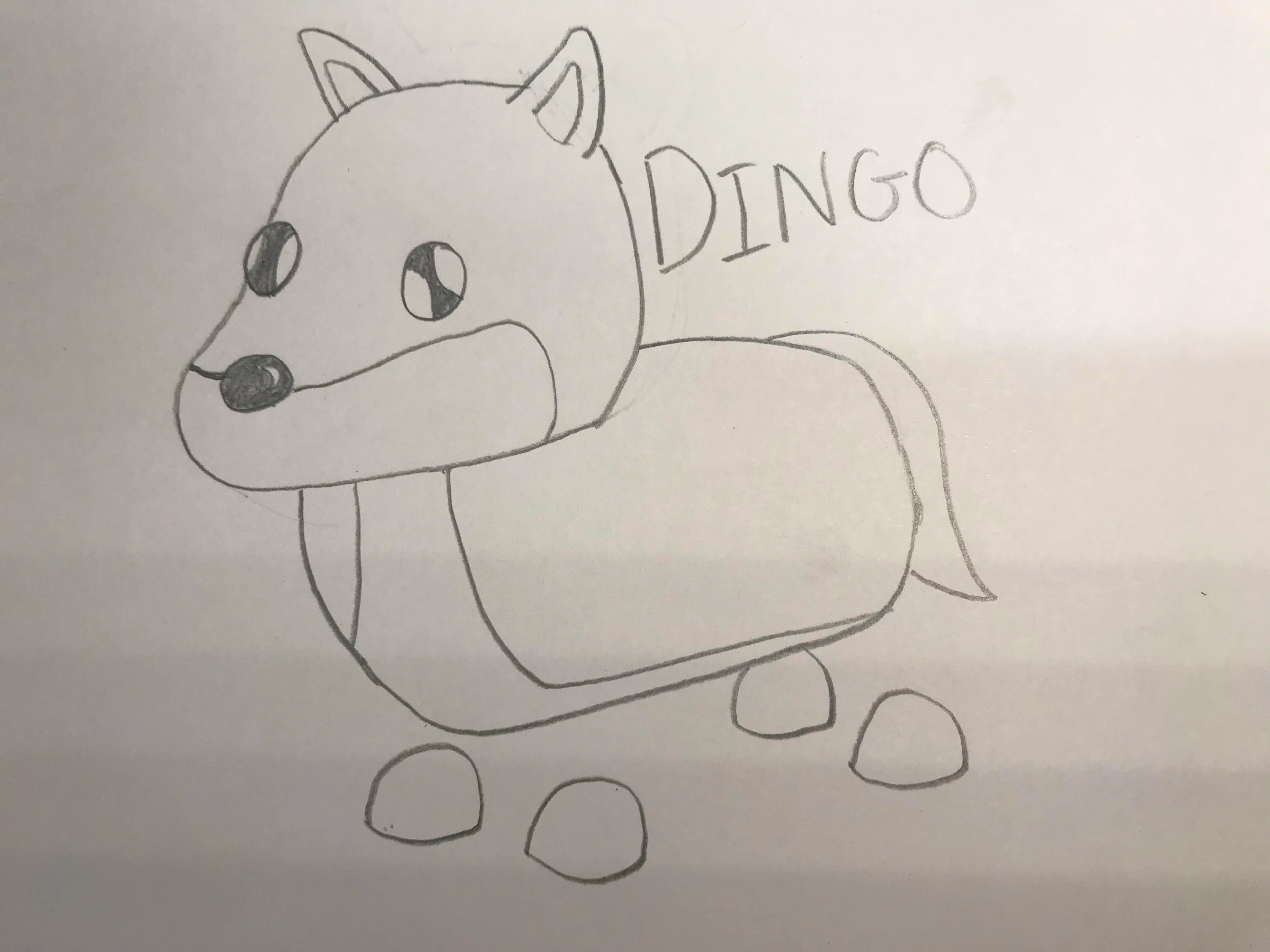 How To Draw A Dingo From Adopt Me How to draw a dingo