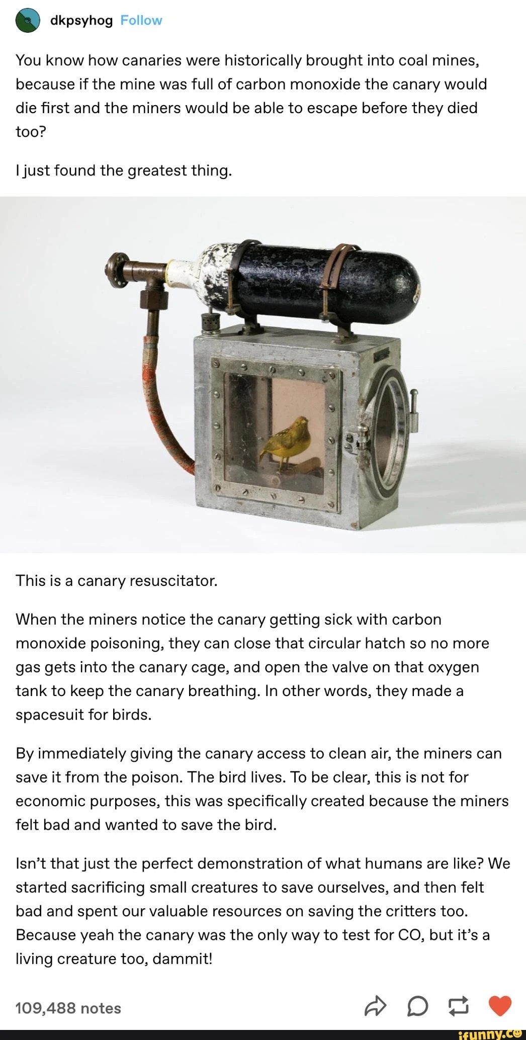 Canaries in coal mines Fandom