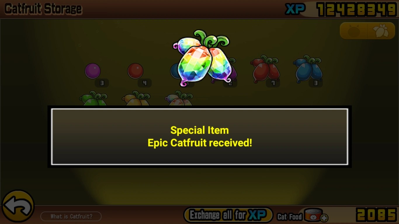 Me, trying to get green catfruit Fandom